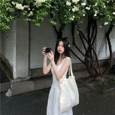 龙年档案